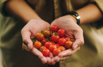 Harvesting Agriculture